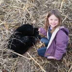 Meet your Posher, Justin